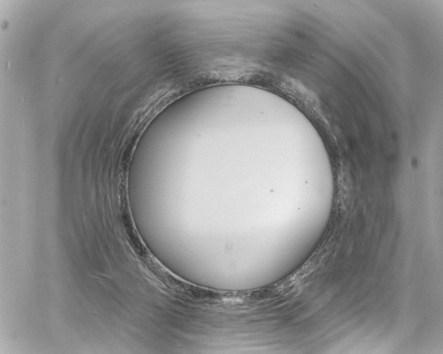 X0000060810114200511101046