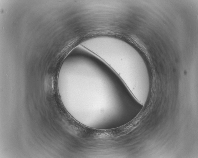 X0000060810115200511101046