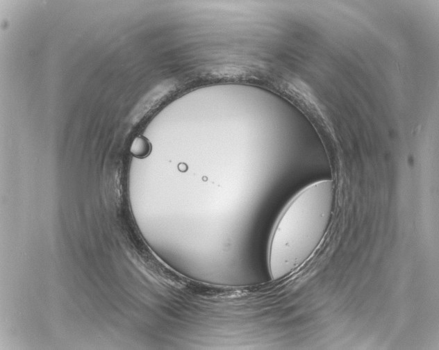 X0000060810116200511101046