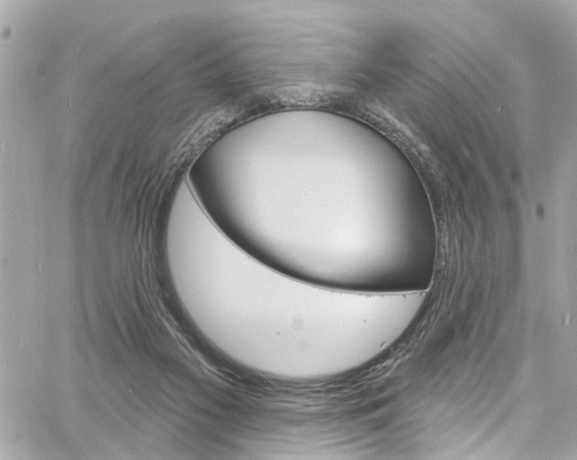 X0000060810117200511101046