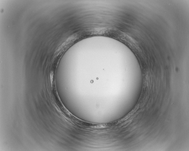 X0000060810118200511101046