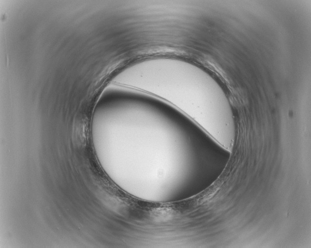 X0000060810119200511101046