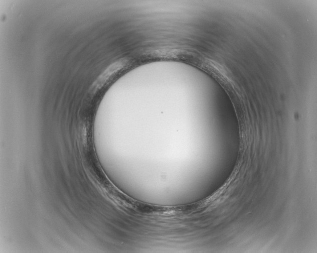 X0000060810120200511101046