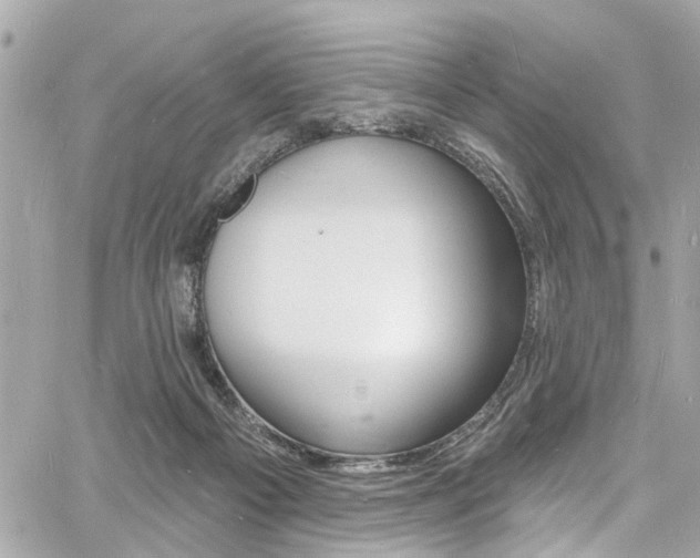 X0000060810121200511101046