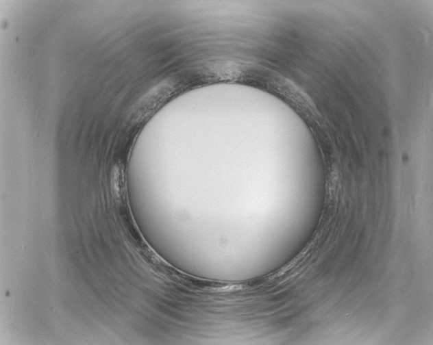 X0000060810122200511101046