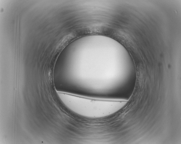 X0000060810123200511101046