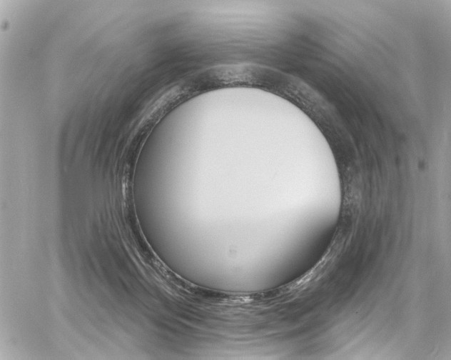 X0000060810124200511101046