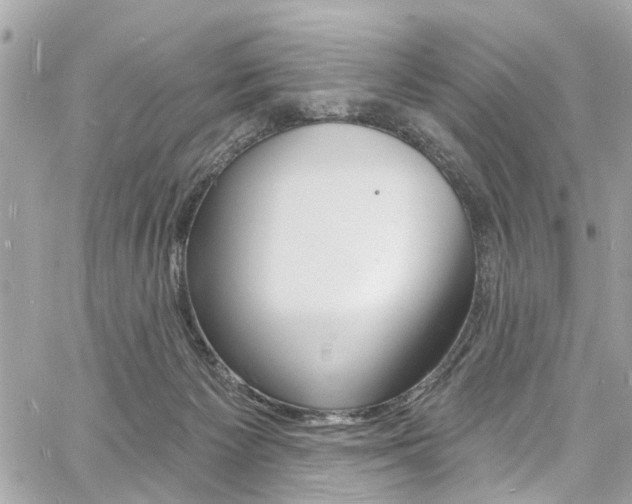 X0000060810125200511101046