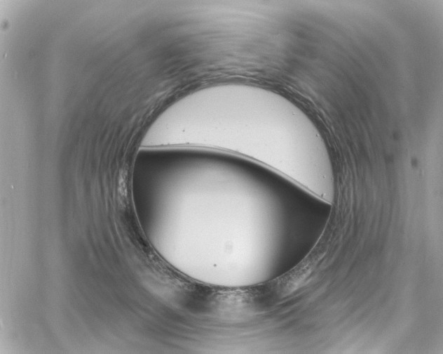 X0000060810127200511101046