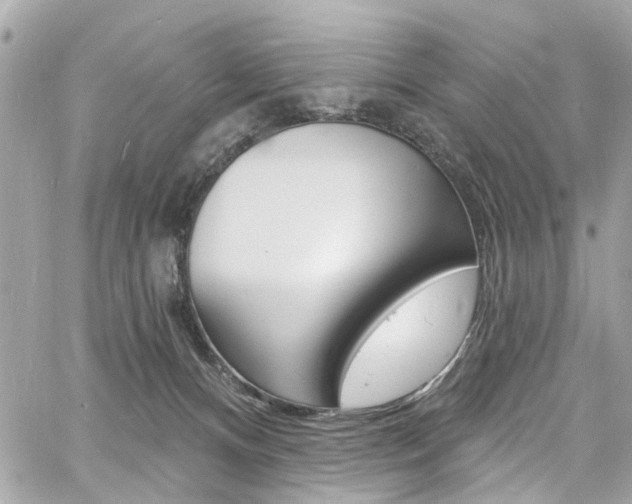 X0000060810128200511101046