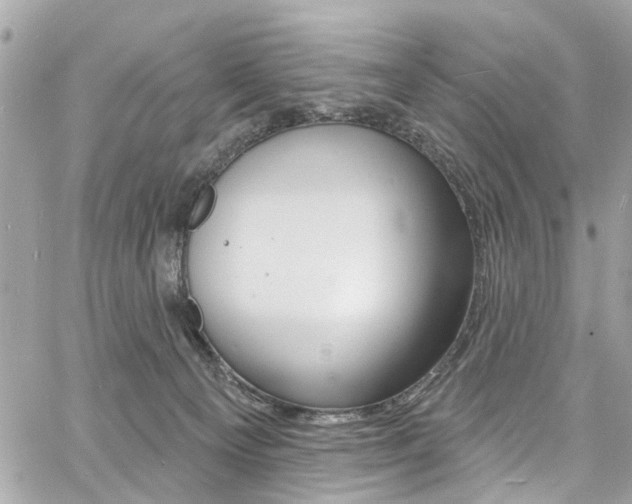 X0000060810129200511101046