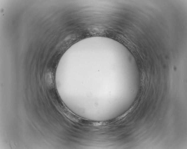 X0000060810130200511101046