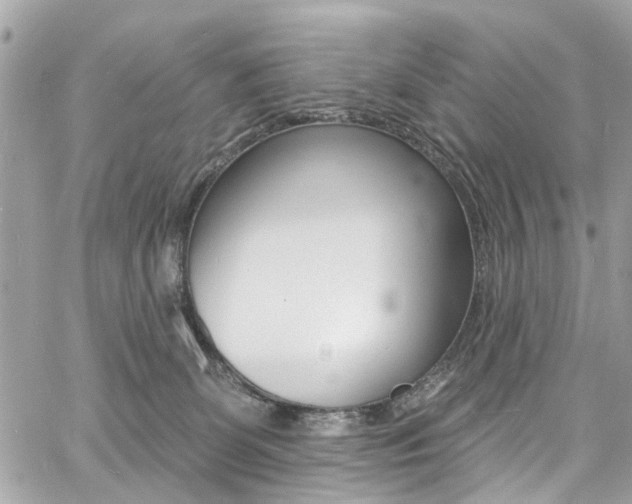 X0000060810131200511101046