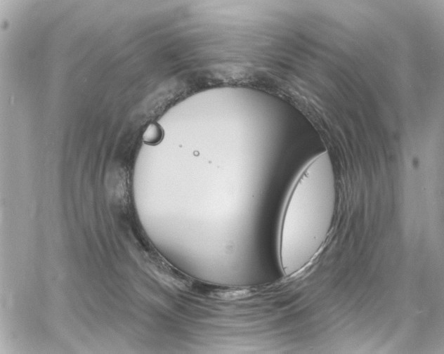 X0000060810132200511101046