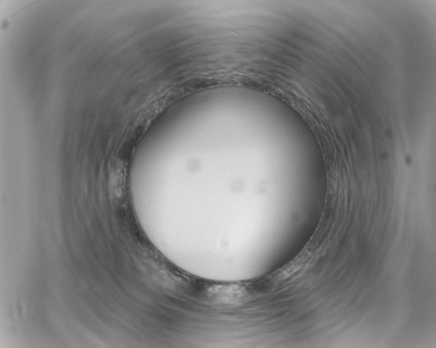 X0000060810133200511101046