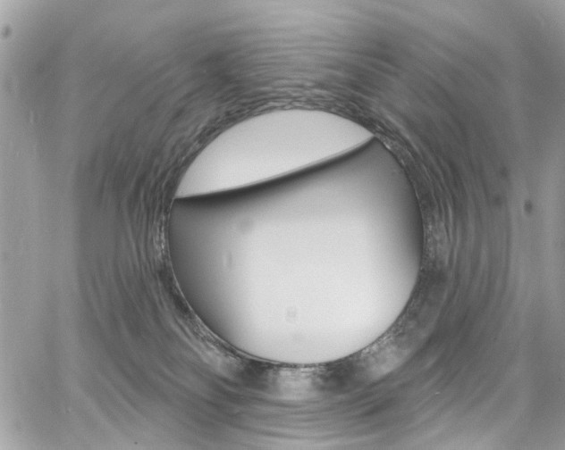 X0000060810134200511101046