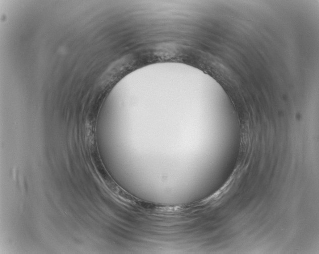 X0000060810136200511101046