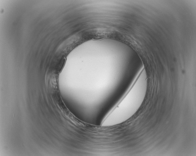 X0000060810137200511101046