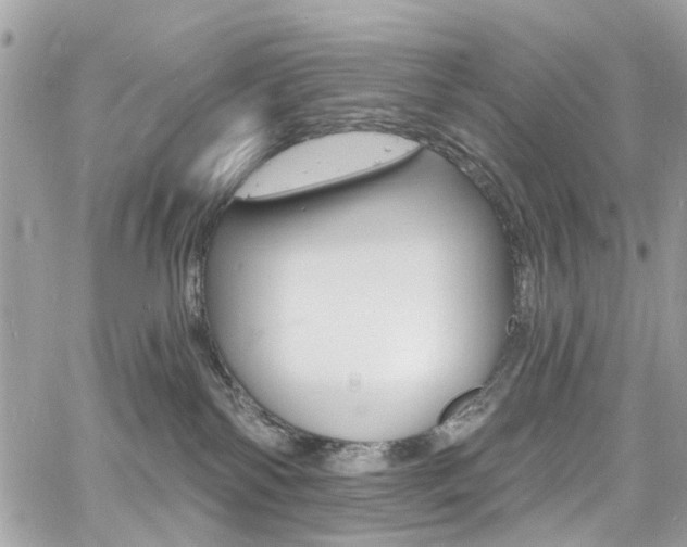 X0000060810138200511101046