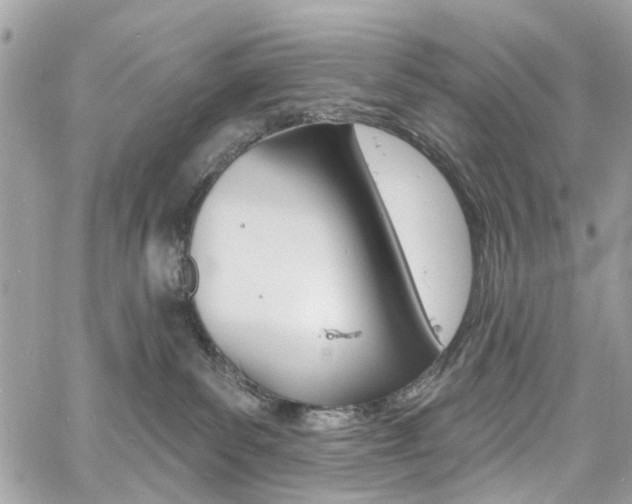 X0000060810139200511101046