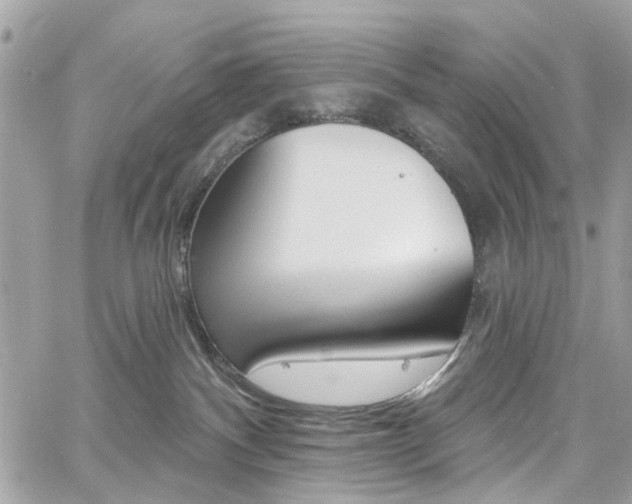 X0000060810140200511101046