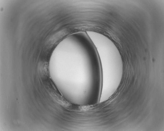 X0000060810141200511101046