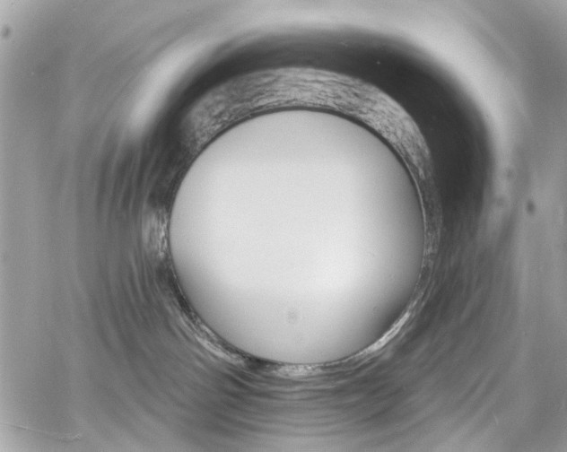 X0000060810142200511101046