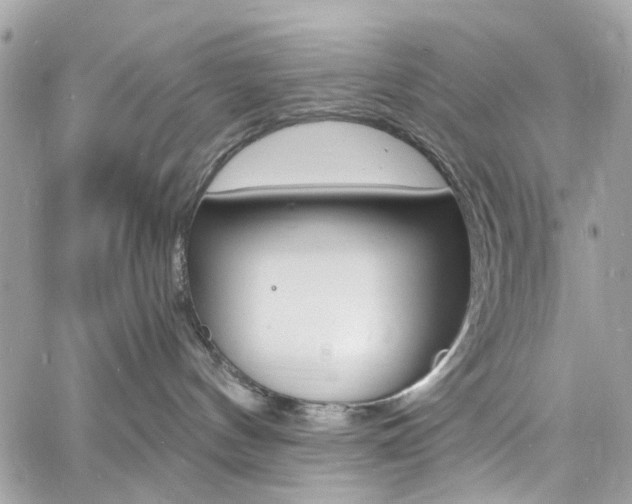 X0000060810144200511101045