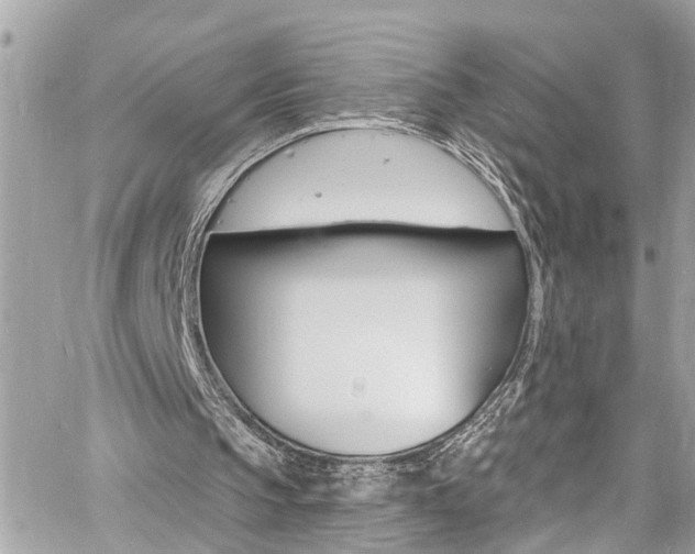 X0000060810145200511101045