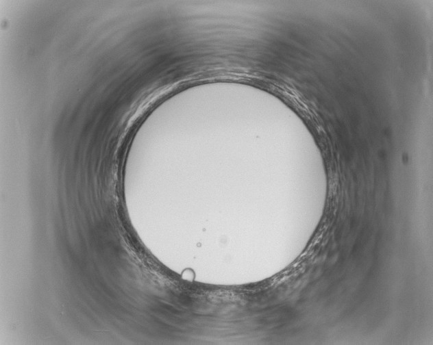 X0000060810146200511101045