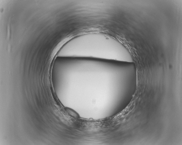 X0000060810147200511101045