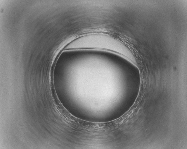 X0000060810148200511101045