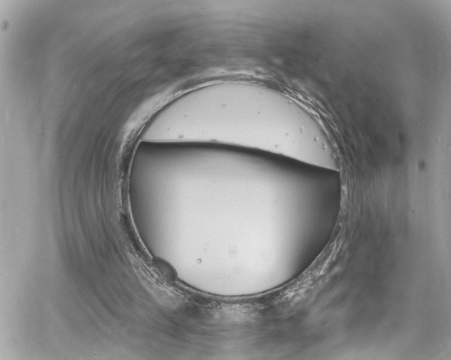 X0000060810149200511101045