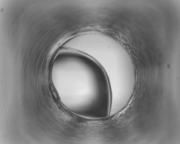 X0000060810150200511101045