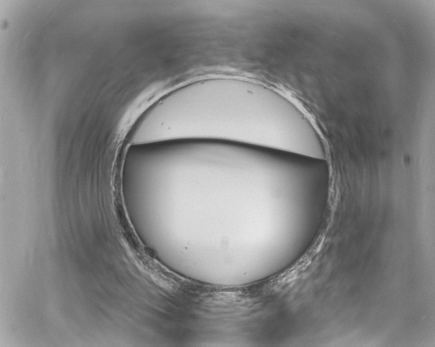 X0000060810151200511101045