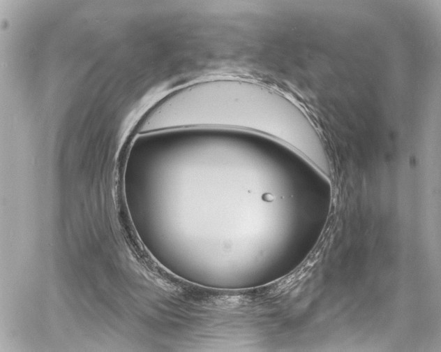 X0000060810152200511101045