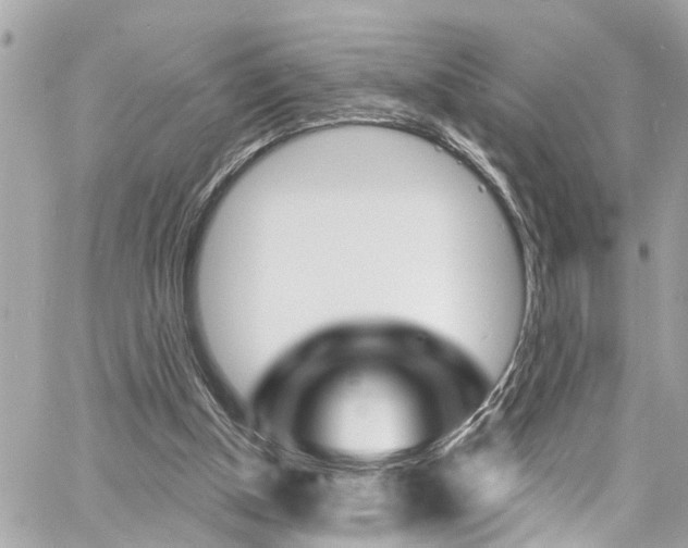 X0000060810154200511101045