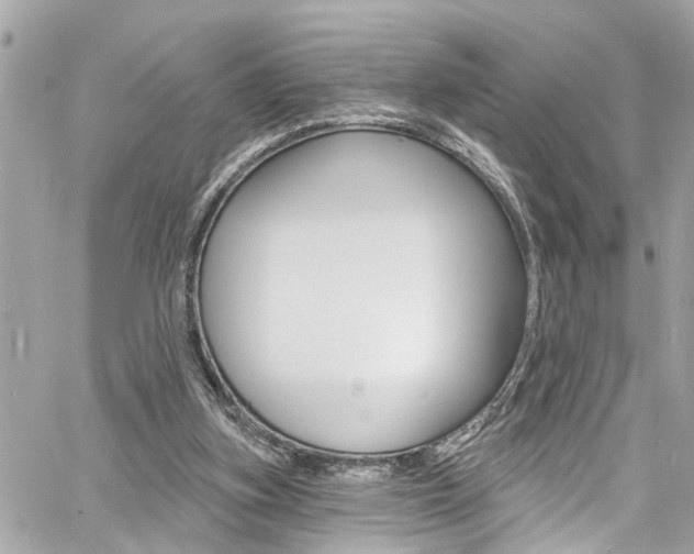 X0000060810155200511101045