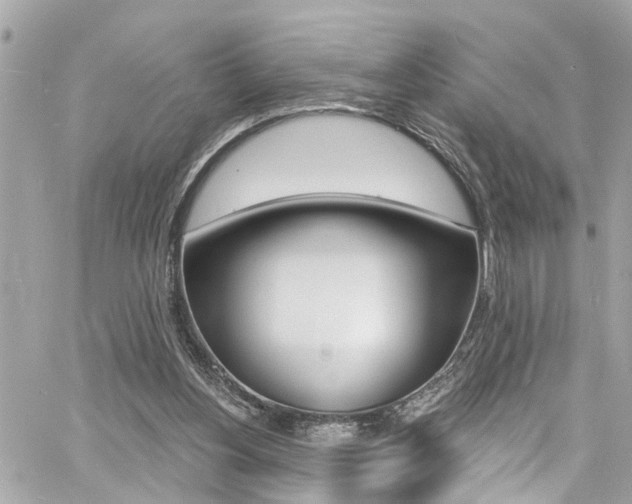 X0000060810156200511101045