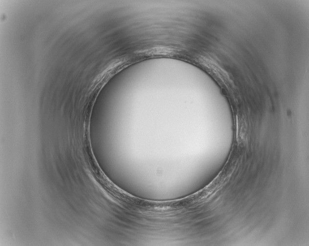 X0000060810157200511101045