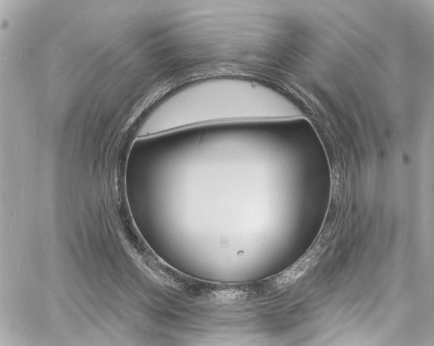 X0000060810158200511101045