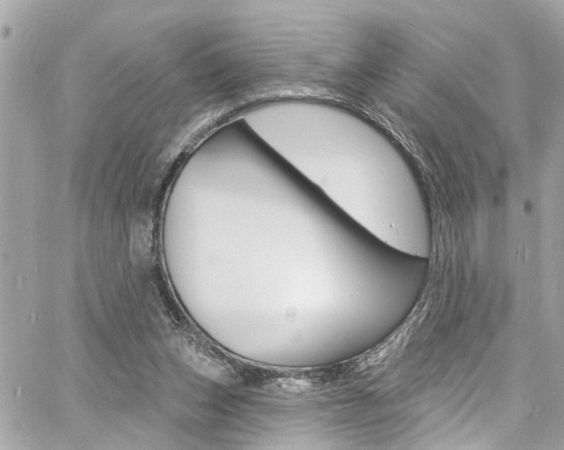 X0000060810159200511101045