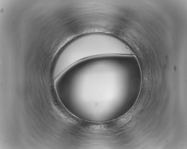 X0000060810160200511101045