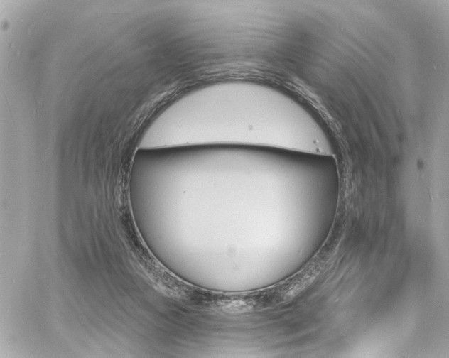 X0000060810161200511101045