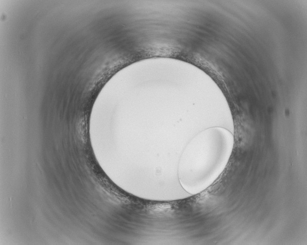 X0000060810162200511101045