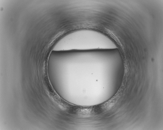 X0000060810163200511101045