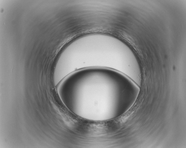 X0000060810164200511101045