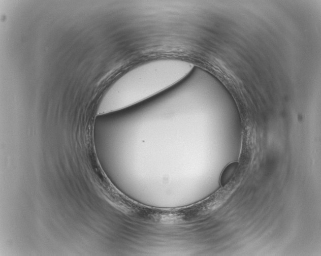 X0000060810165200511101045