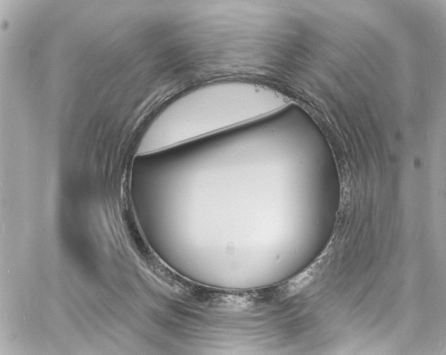 X0000060810166200511101045