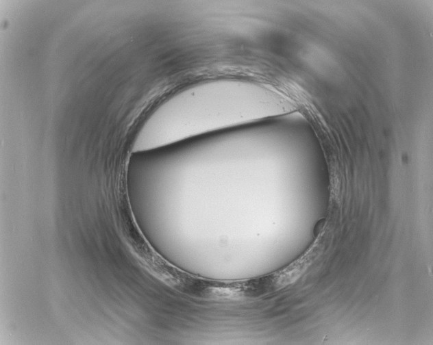 X0000060810167200511101045